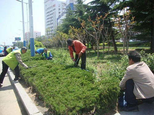 園林綠化